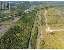 Lot Highway 101, St  Alphonse, NS B0W2J0 Photo 10