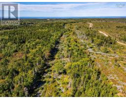 Lot Highway 101, St  Alphonse, NS B0W2J0 Photo 13