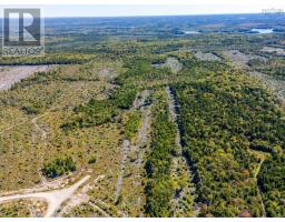 Lot Highway 101, St  Alphonse, NS B0W2J0 Photo 8