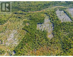 Lot Highway 101, St  Alphonse, NS B0W2J0 Photo 9