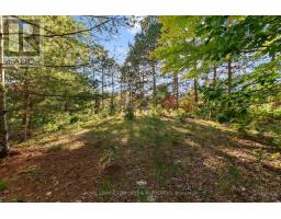 2740 Round Lake Road, Killaloe, Hagarty And Richards, ON K0J2J0 Photo 6