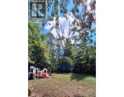 151 David Street, Gravenhurst), ON P1P1J5 Photo 22
