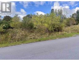 Lot Forge Street, Trenton, NS B0K1X2 Photo 7