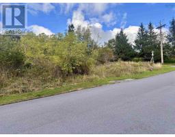 Lot Forge Street, Trenton, NS B0K1X2 Photo 6