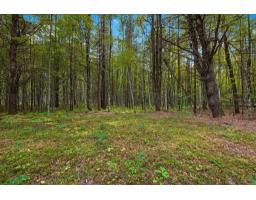 2743 6e Concession, Pontiac, QC J0X2G0 Photo 10