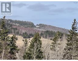 204 Highway, Irish Cove, NS B2E1E5 Photo 6