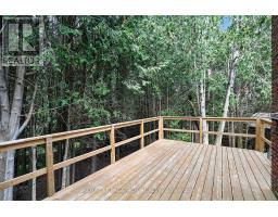 502 Townline Road, Scugog, ON L0B1A0 Photo 24
