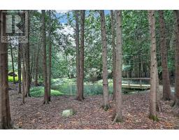502 Townline Road, Scugog, ON L0B1A0 Photo 34