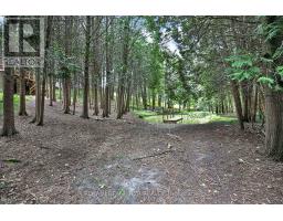 502 Townline Road, Scugog, ON L0B1A0 Photo 35