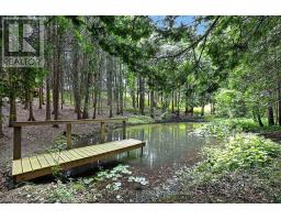 502 Townline Road, Scugog, ON L0B1A0 Photo 36