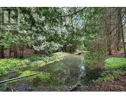 502 Townline Road, Scugog, ON L0B1A0 Photo 38