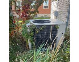2 Albert Street, Kawartha Lakes, ON K0M1K0 Photo 20