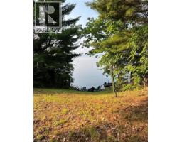 16431 Highway 35, Algonquin Highlands, ON K0M1J1 Photo 23