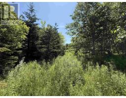 5569 Highway 105 Highway, Port Bevis, NS B0E1B0 Photo 10