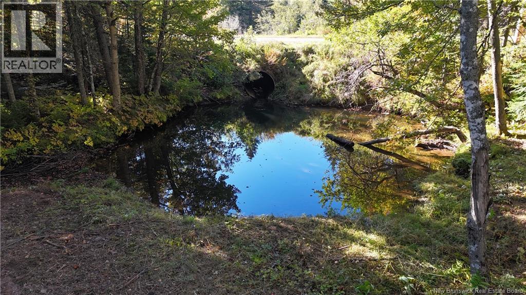 4799 Route 495 - Image 34