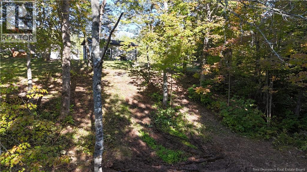 4799 Route 495 - Image 4