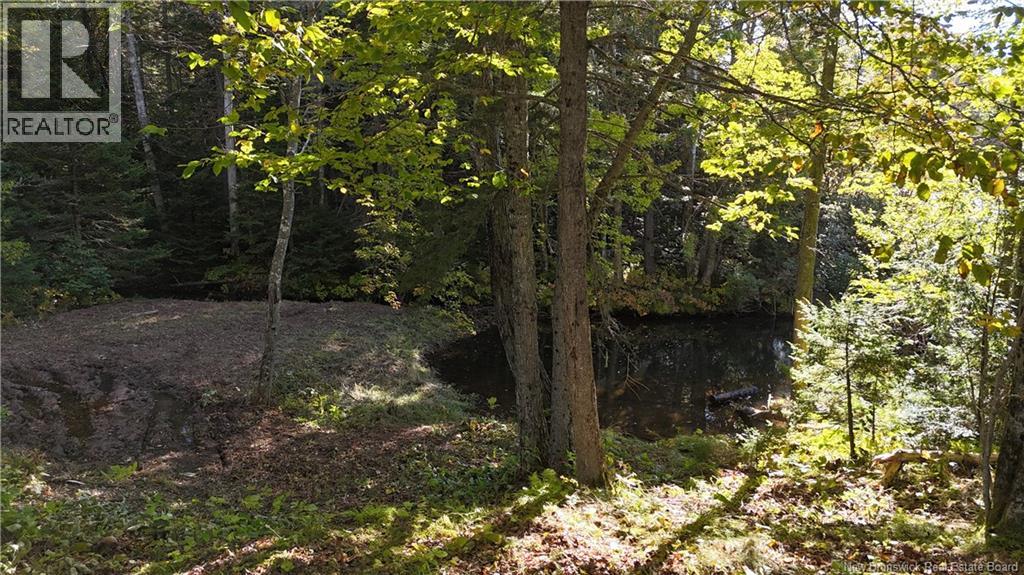 4799 Route 495 - Image 5