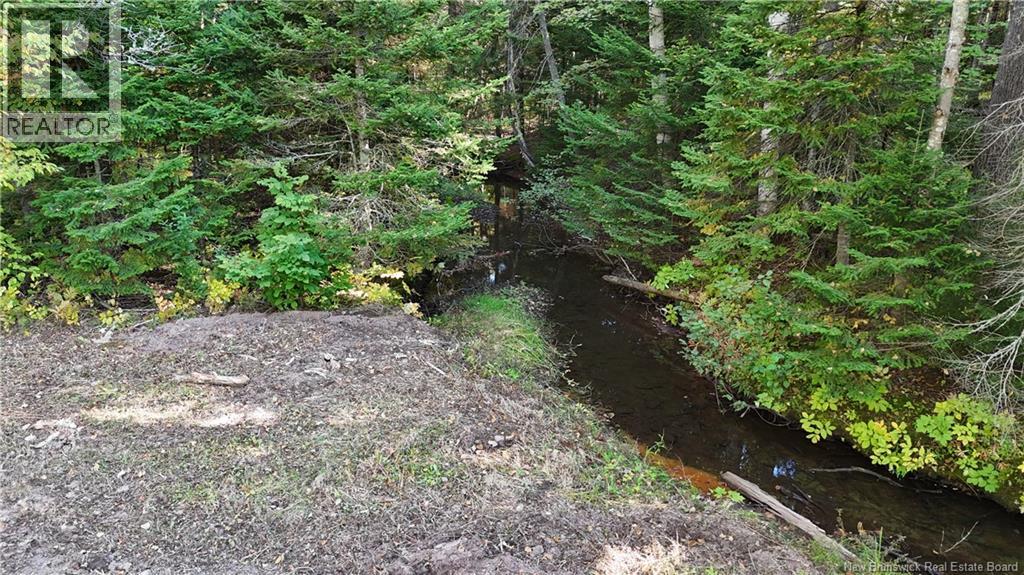 4799 Route 495 - Image 6