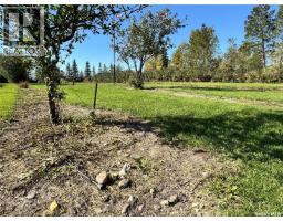 2 Quarters & Beautiful Yard Site Near Wapella, Martin Rm No  122, SK S0G4Z0 Photo 53