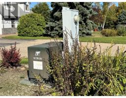 2 Quarters & Beautiful Yard Site Near Wapella, Martin Rm No  122, SK S0G4Z0 Photo 54