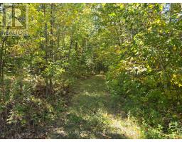 40 Fortin Drive, West Nipissing, ON P0H2M0 Photo 12