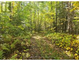 40 Fortin Drive, West Nipissing, ON P0H2M0 Photo 13