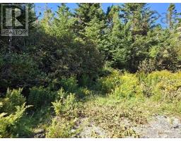 802 Forbes Point, Forbes Point, NS B0W2E0 Photo 25