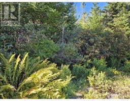 802 Forbes Point, Forbes Point, NS B0W2E0 Photo 24