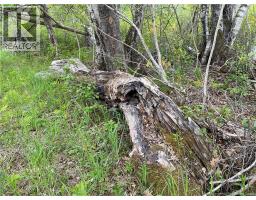 00 Mill Settlement Road, Hoyt, NB E5L2H1 Photo 24