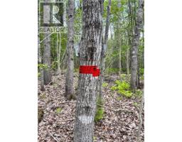 00 Mill Settlement Road, Hoyt, NB E5L2H1 Photo 28