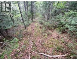 00 Mill Settlement Road, Hoyt, NB E5L2H1 Photo 29