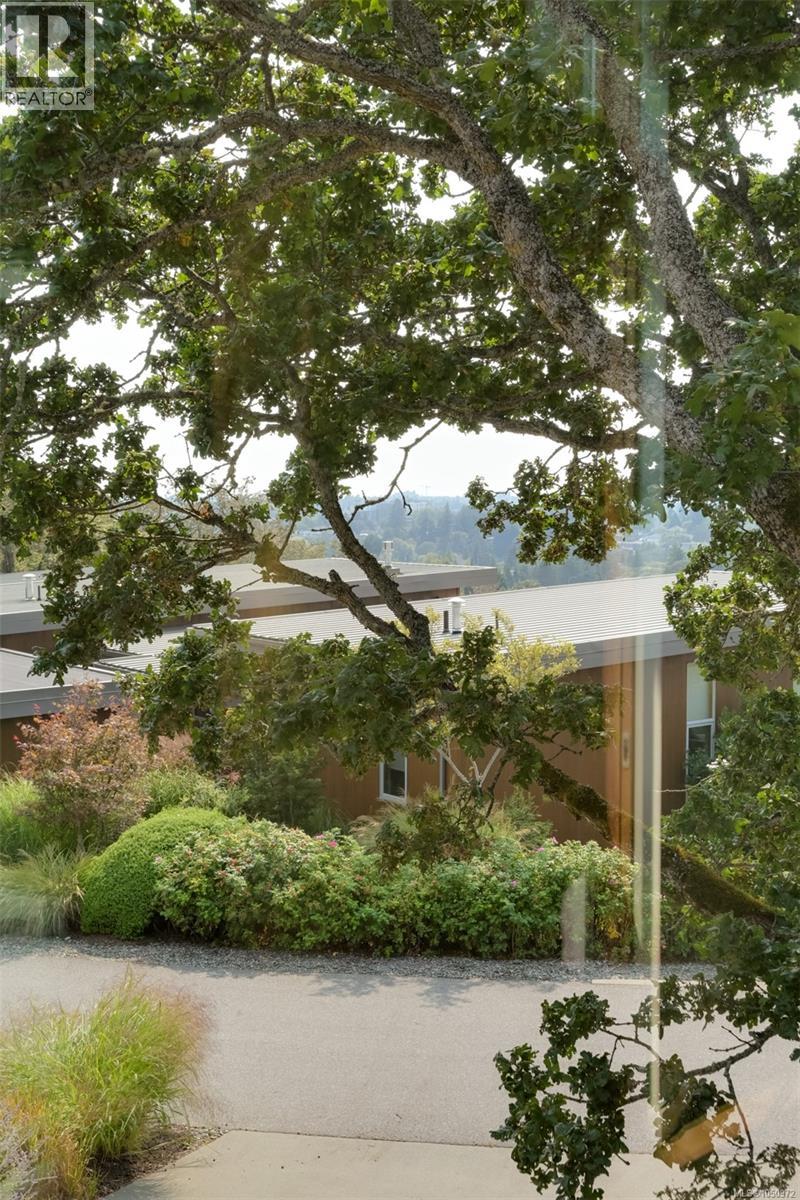 802 Rainbow Ridge Lane - Image 41