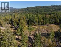 6250 Eagle Bay Road, Eagle Bay, BC V0E1T0 Photo 13