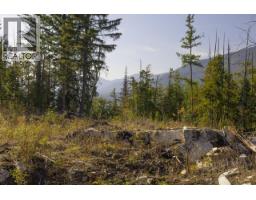6250 Eagle Bay Road, Eagle Bay, BC V0E1T0 Photo 20