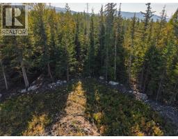 6250 Eagle Bay Road, Eagle Bay, BC V0E1T0 Photo 30