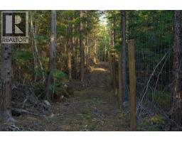 6250 Eagle Bay Road, Eagle Bay, BC V0E1T0 Photo 33