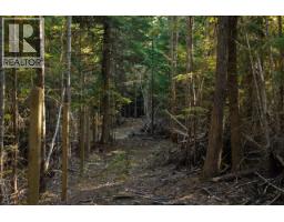6250 Eagle Bay Road, Eagle Bay, BC V0E1T0 Photo 35