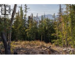 6250 Eagle Bay Road, Eagle Bay, BC V0E1T0 Photo 38