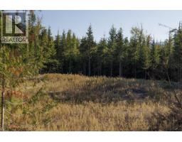 6250 Eagle Bay Road, Eagle Bay, BC V0E1T0 Photo 39