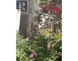 46 Blandford Street, Toronto, ON M6E3A7 Photo 34