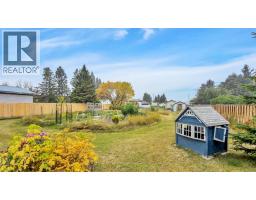 4415 62 Street, Rocky Mountain House, AB T4T1G1 Photo 48