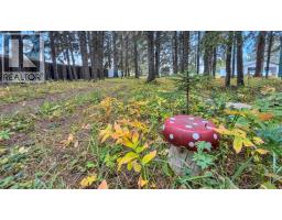 4415 62 Street, Rocky Mountain House, AB T4T1G1 Photo 42