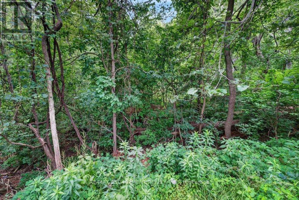 230 MORRISON ROAD - 24