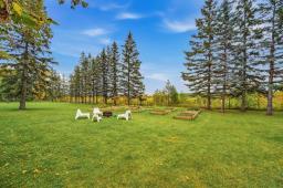 50157 Mun 41e Road, St Genevieve, MB R5J0B9 Photo 42