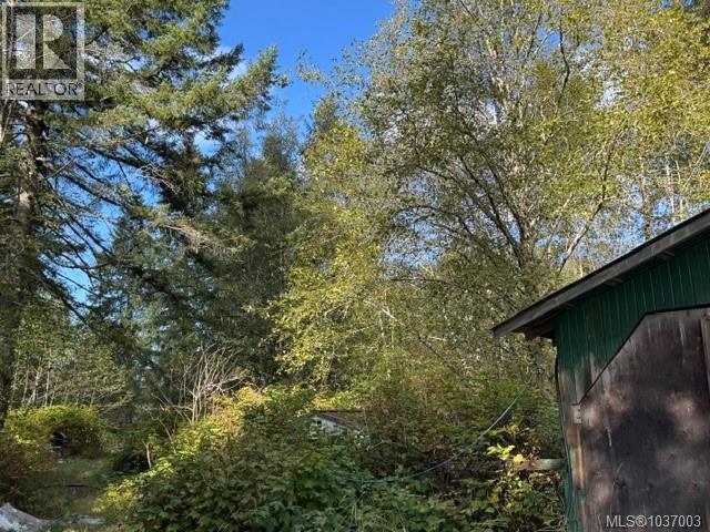 3476 MacAulay Rd, Black Creek