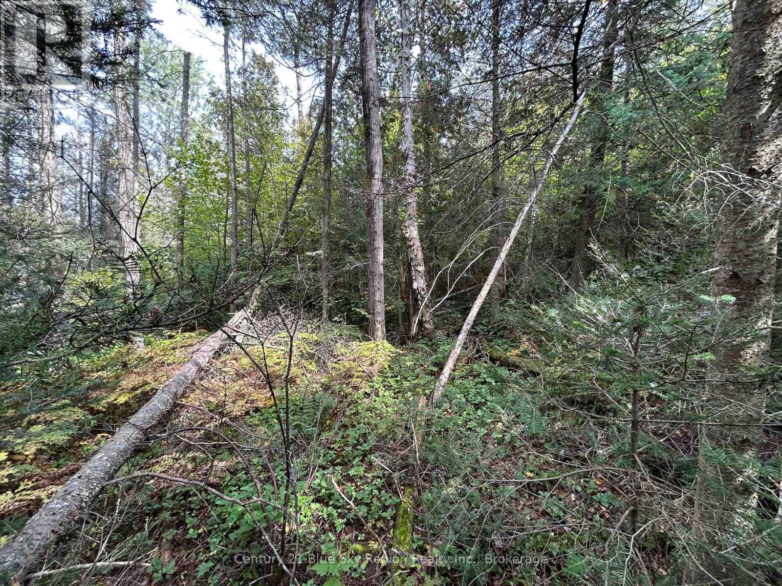 Property for sale at PCL 28216 HIGHWAY 531