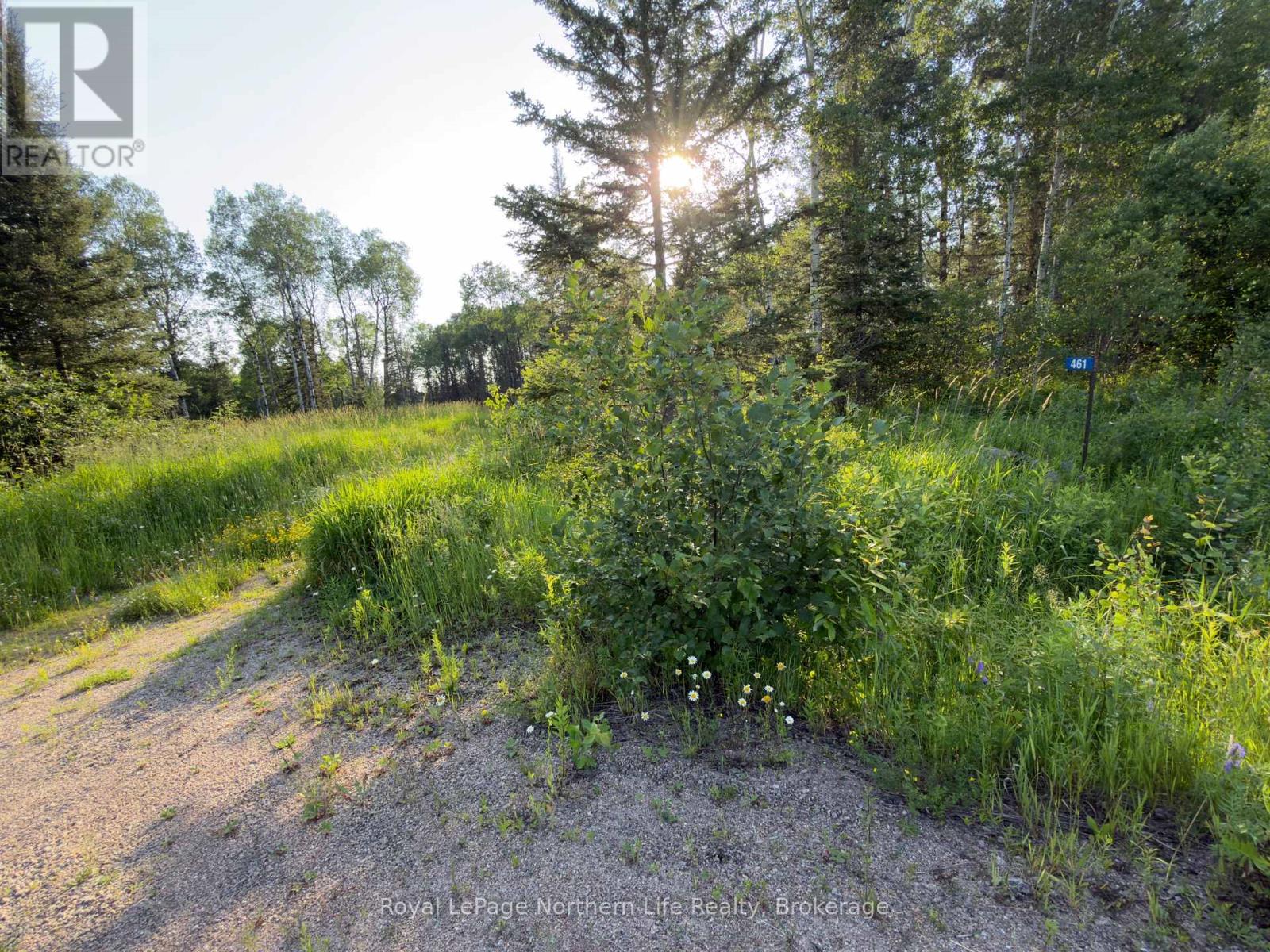 Property for sale at 461 ALDERDALE ROAD
