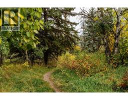 301, 312 Cedar Crescent Sw, Calgary, AB T3C2Y8 Photo 25
