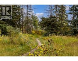 301, 312 Cedar Crescent Sw, Calgary, AB T3C2Y8 Photo 26