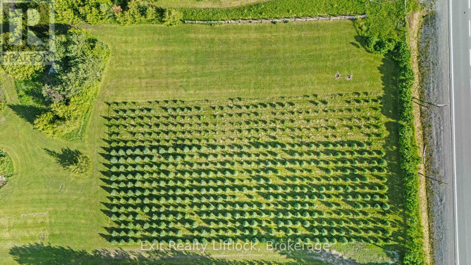 2917 HIGHWAY 28 - Image 39
